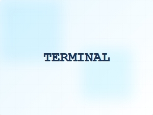 Classic Terminal Font Inspired by Courier New